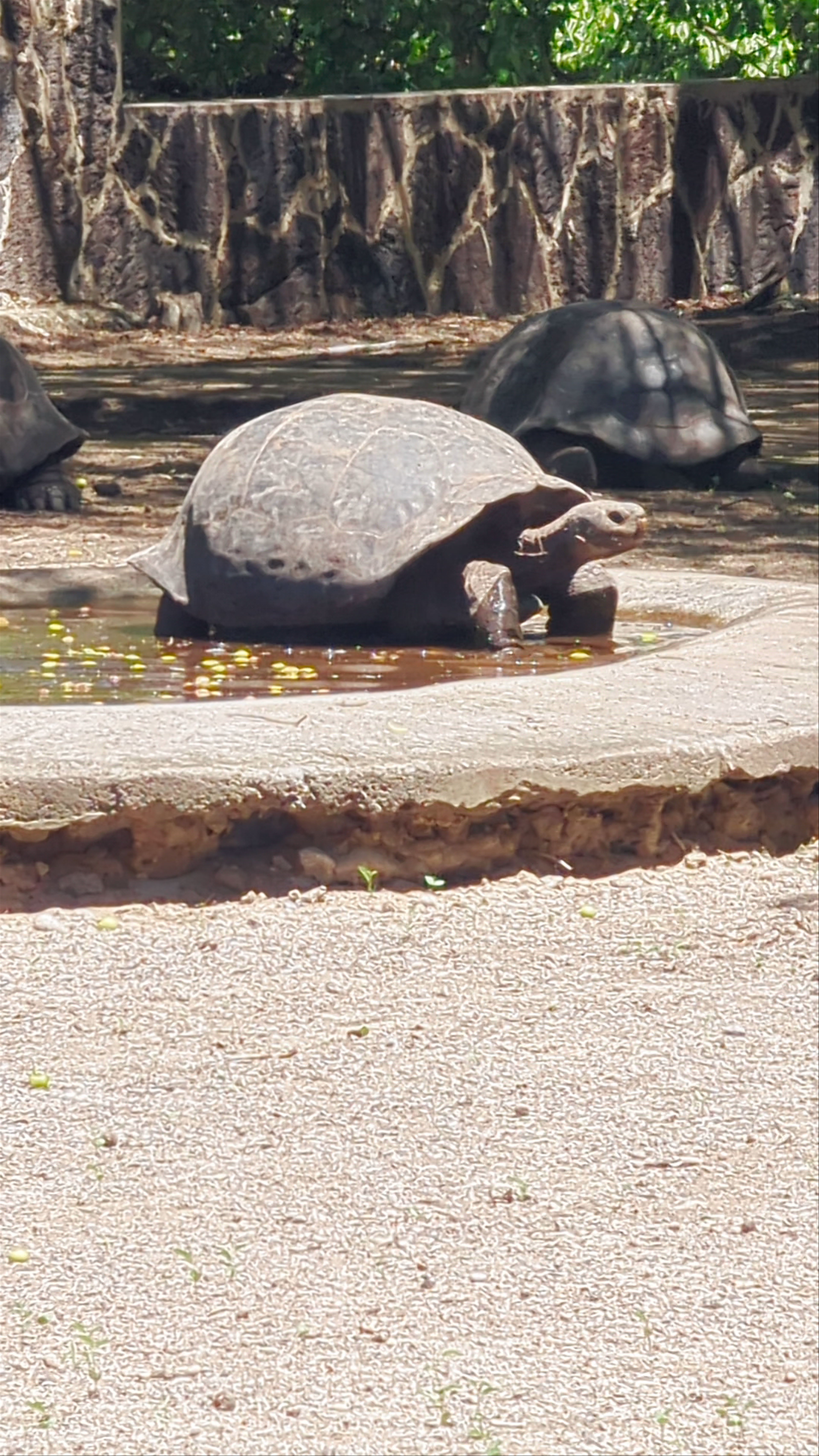 Charles Darwin Research Station