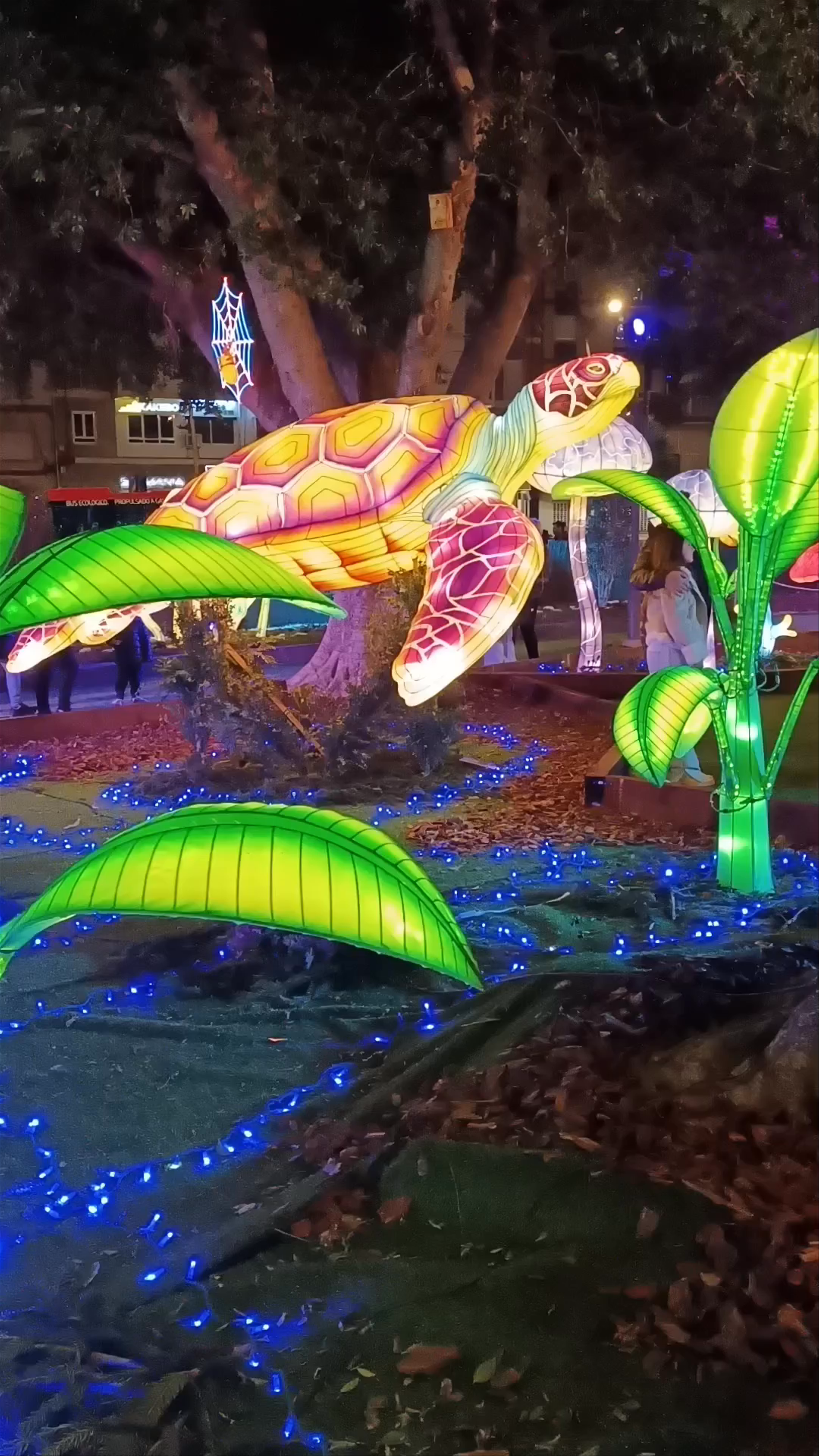 Magical Nighttime Lantern Festival at Plaza Circular, Murcia