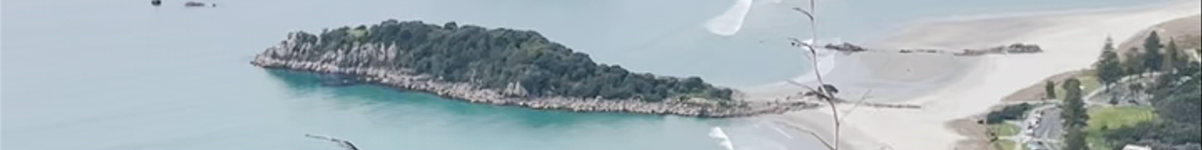 Tours & experiences in Tauranga