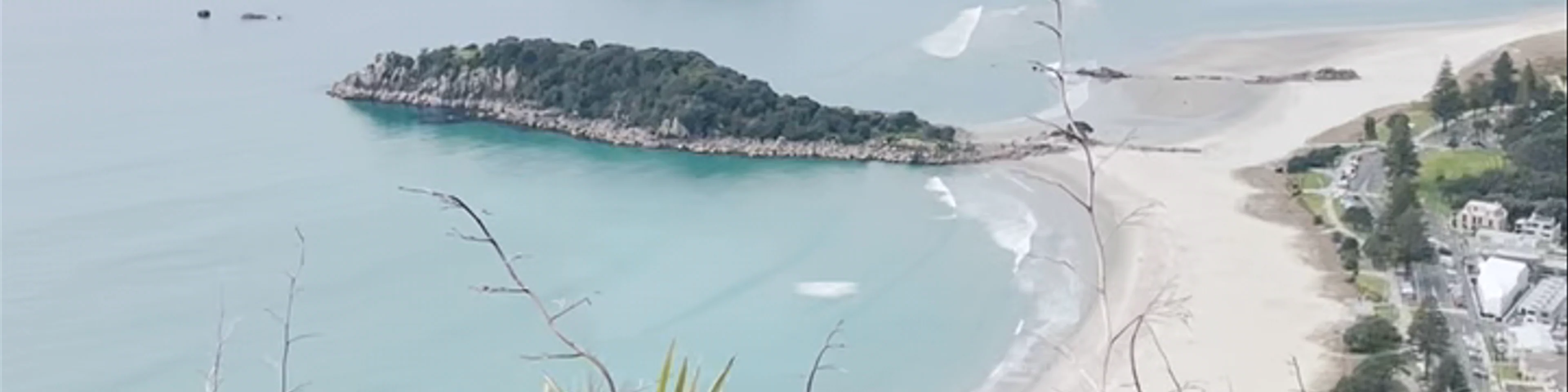 Mt Maunganui seaview Marine Parade