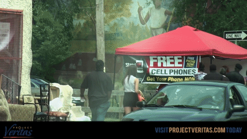 Video Thumbnail Loop