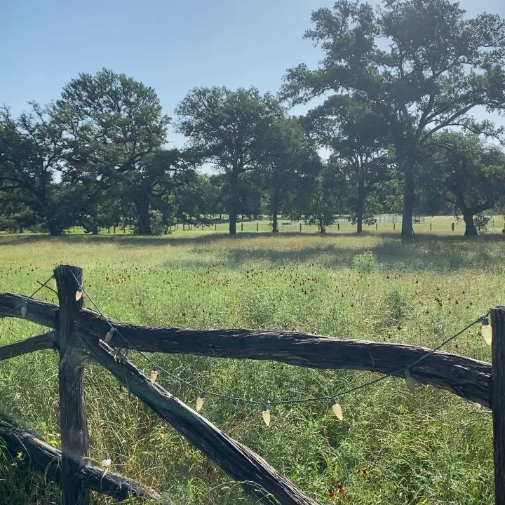 Wander Inn - Beautiful wildflowers all around the property - Hotels Near Me - Round Top, Texas