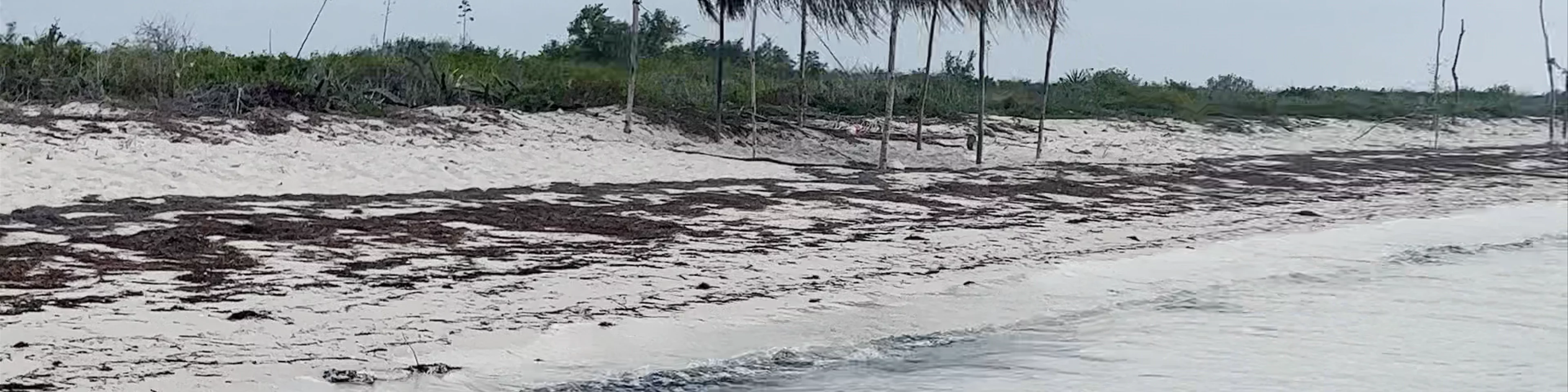 Playa Pública