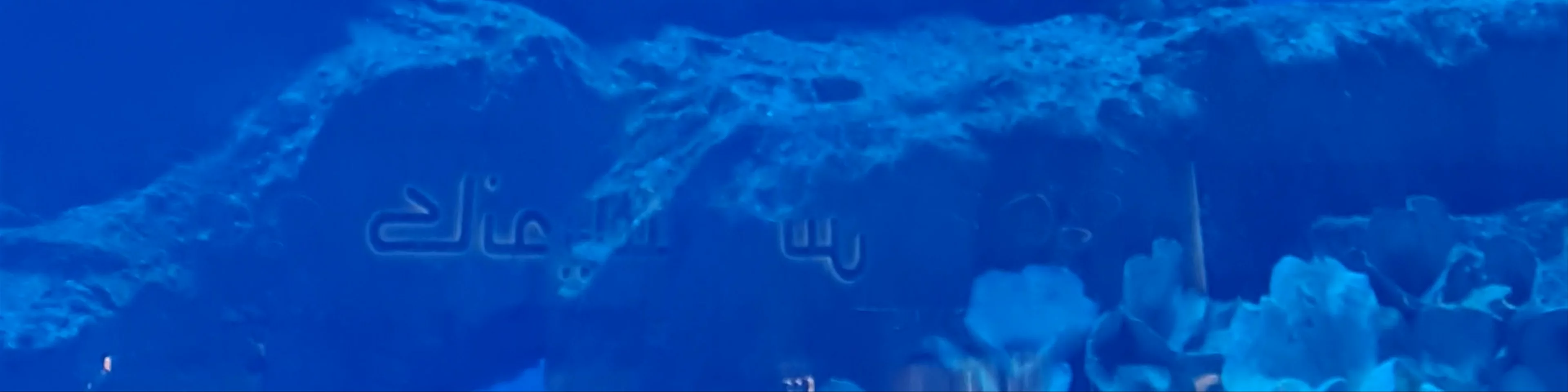 Dubai Aquarium & Underwater Zoo - شارع المركز المالي، - Dubai - United Arab Emirates