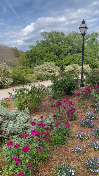 Hampton Park - Parks Near Me - Charleston, South Carolina