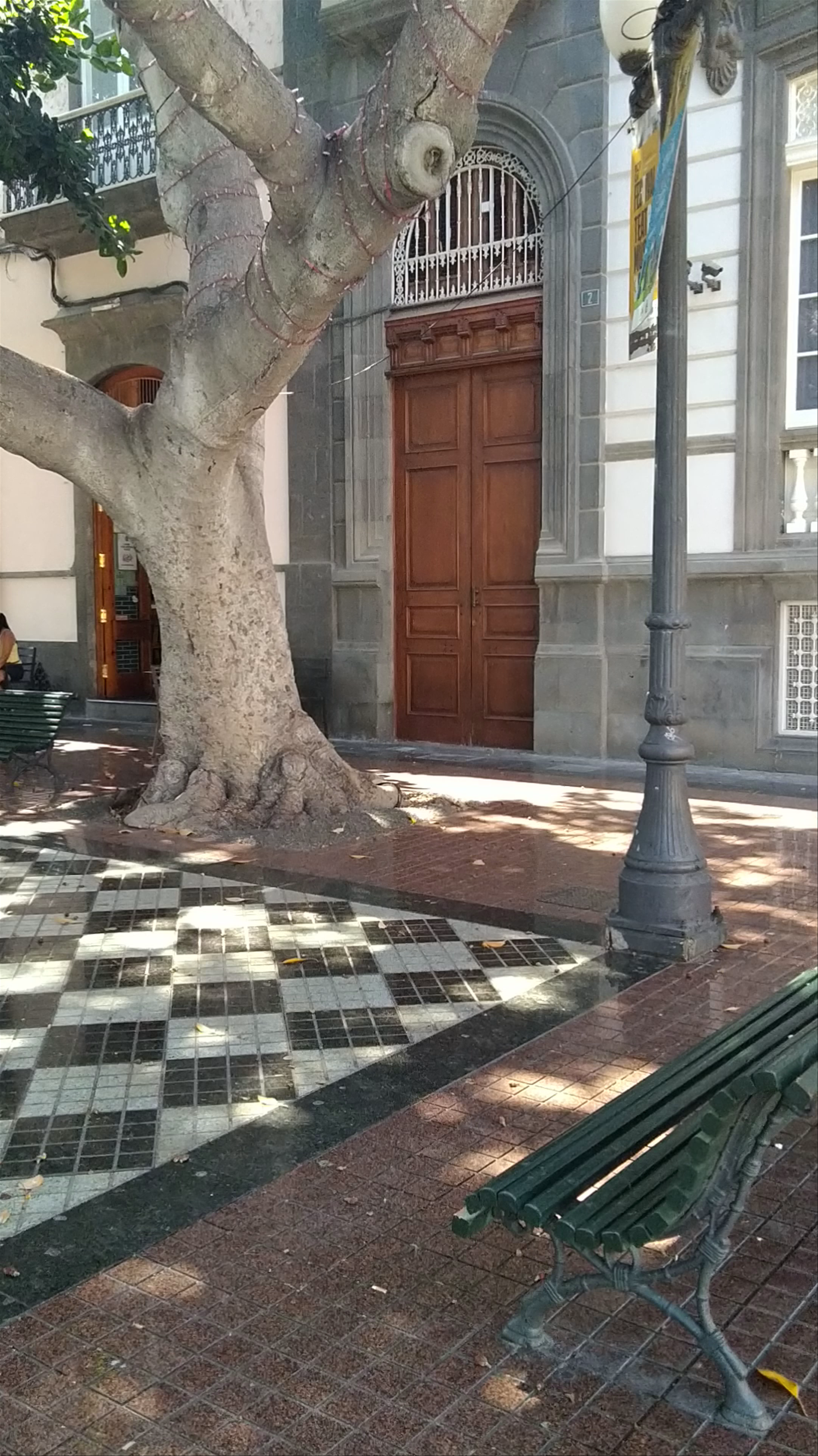 Plaza De Las Ranas: A Sunlit Urban Oasis in Las Palmas de Gran Canaria