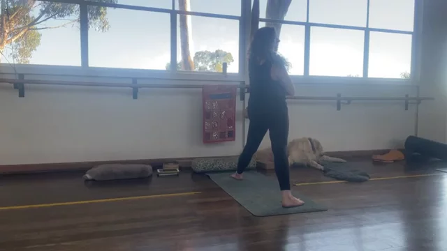 YANG FLOW: Consistency is KEY  (60 minutes)