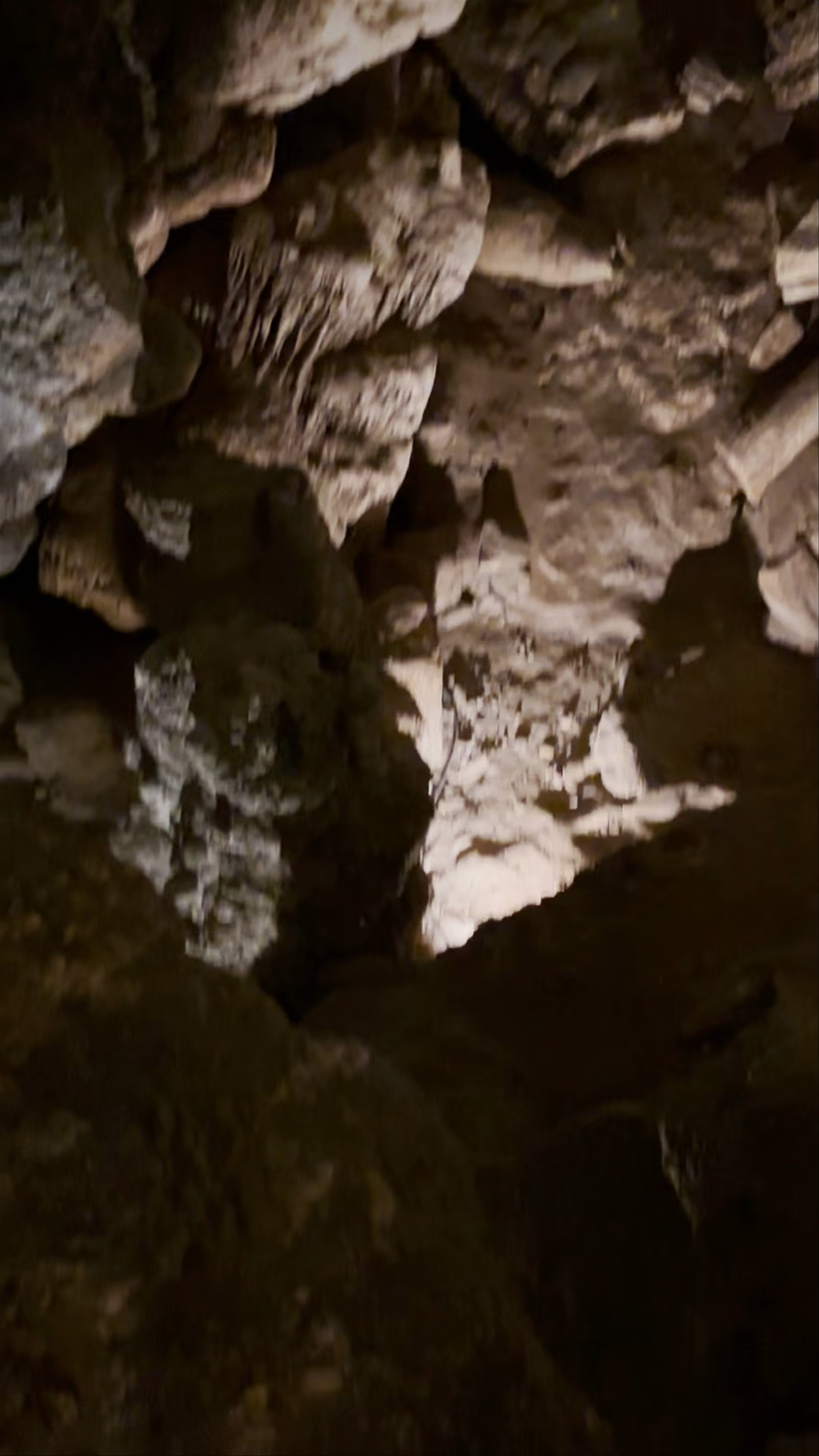 Fundación Cueva de Nerja