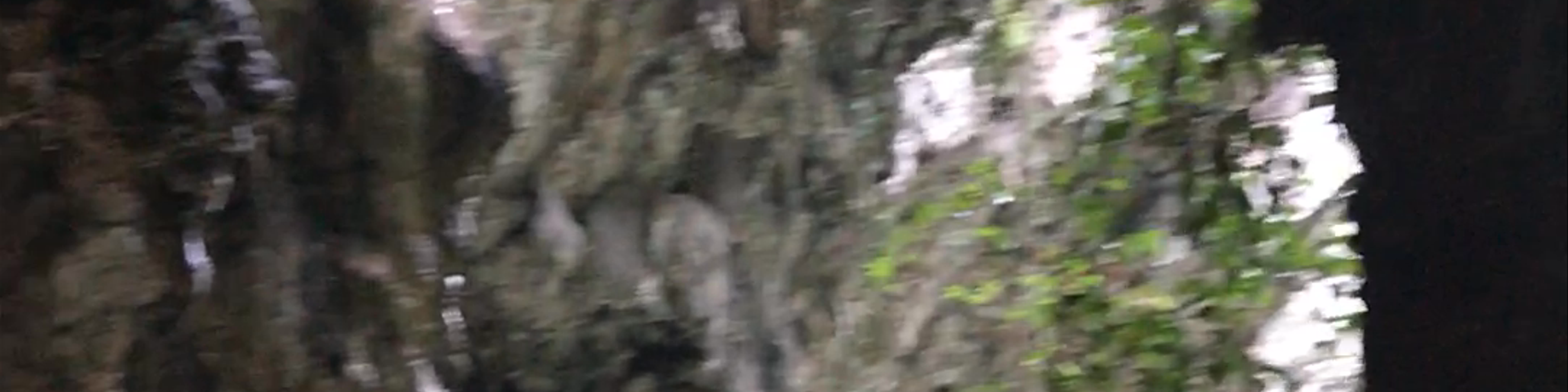 Krabi