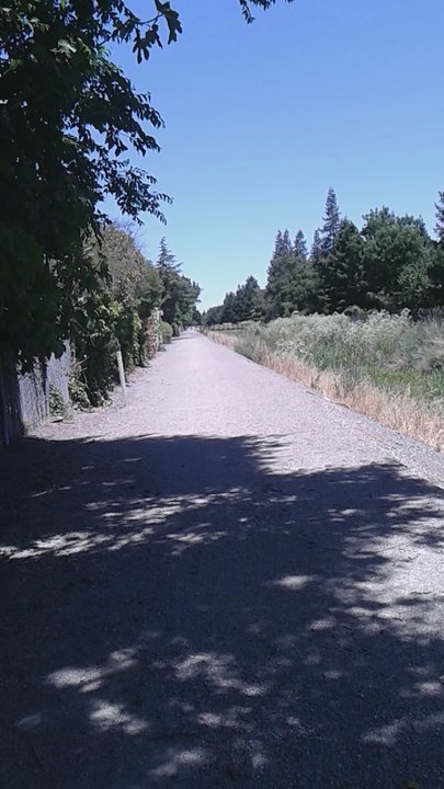 Centennial Trail - Best on a cool day. Probably not so great in August - Hiking Near Me - Pleasanton, California