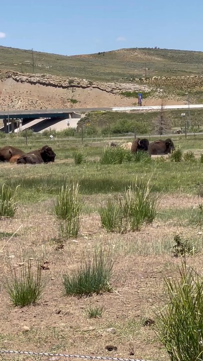 Bear River State Park - Visitor Centers Near Me - Evanston, Wyoming