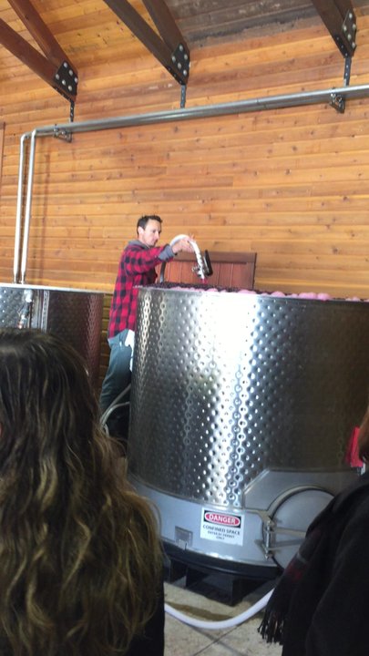 Beaux Frères - Más vino - Wineries Near Me - Newberg, Oregon