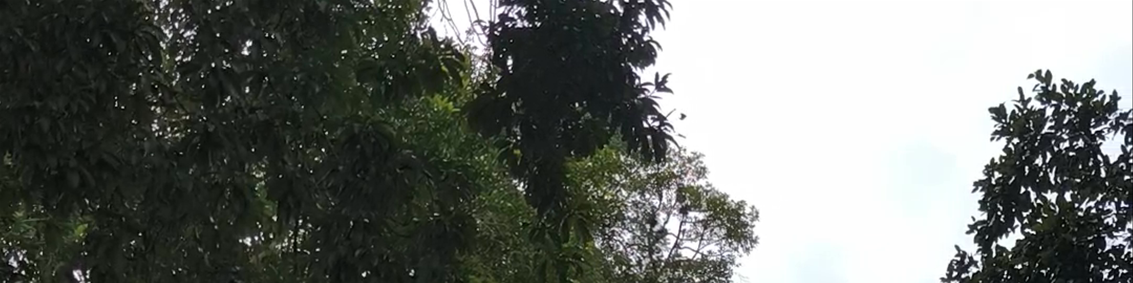Guatemala