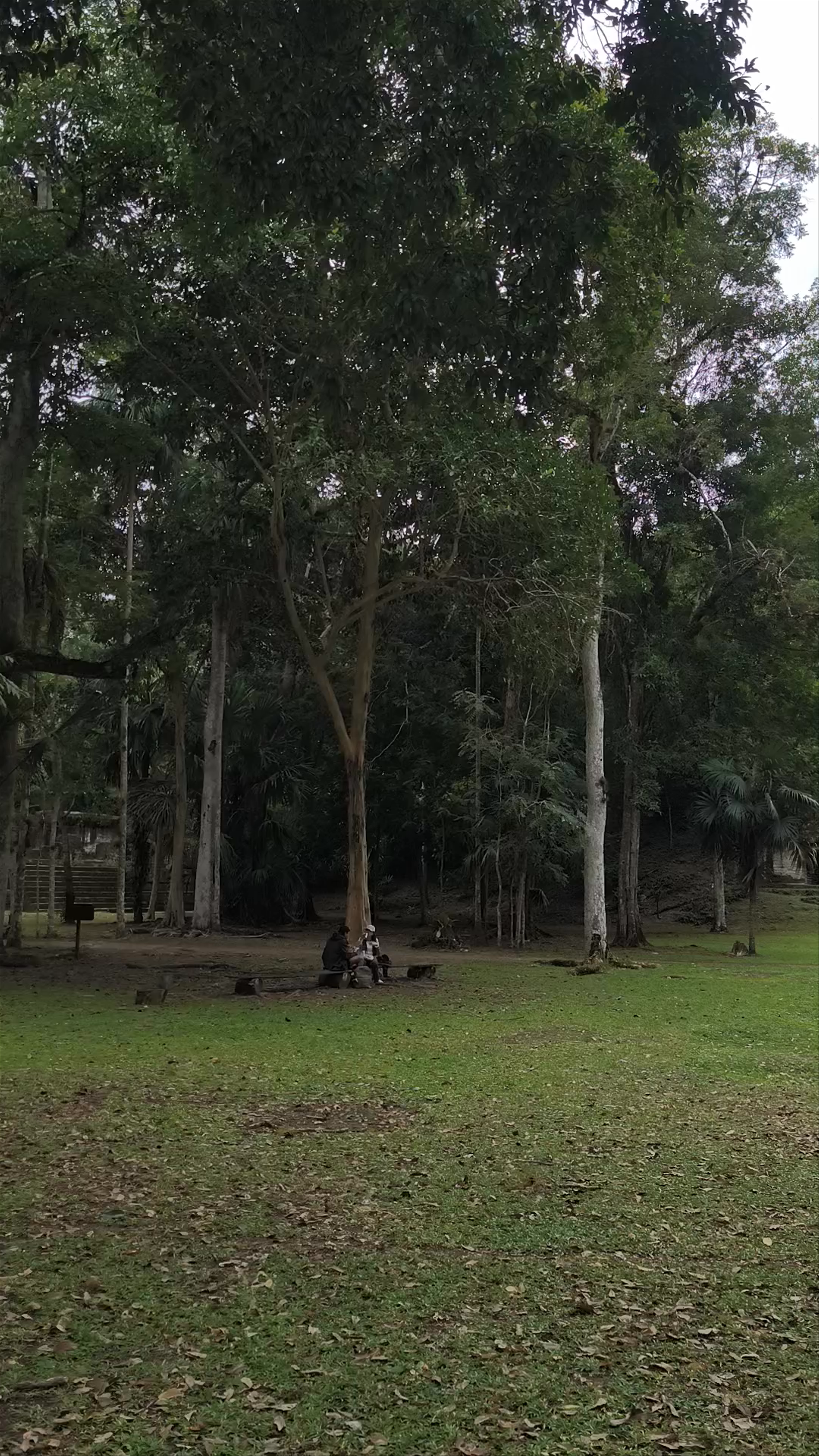 Plaza de los Siete Templos: Mystical Mayan Ruins in Tikal