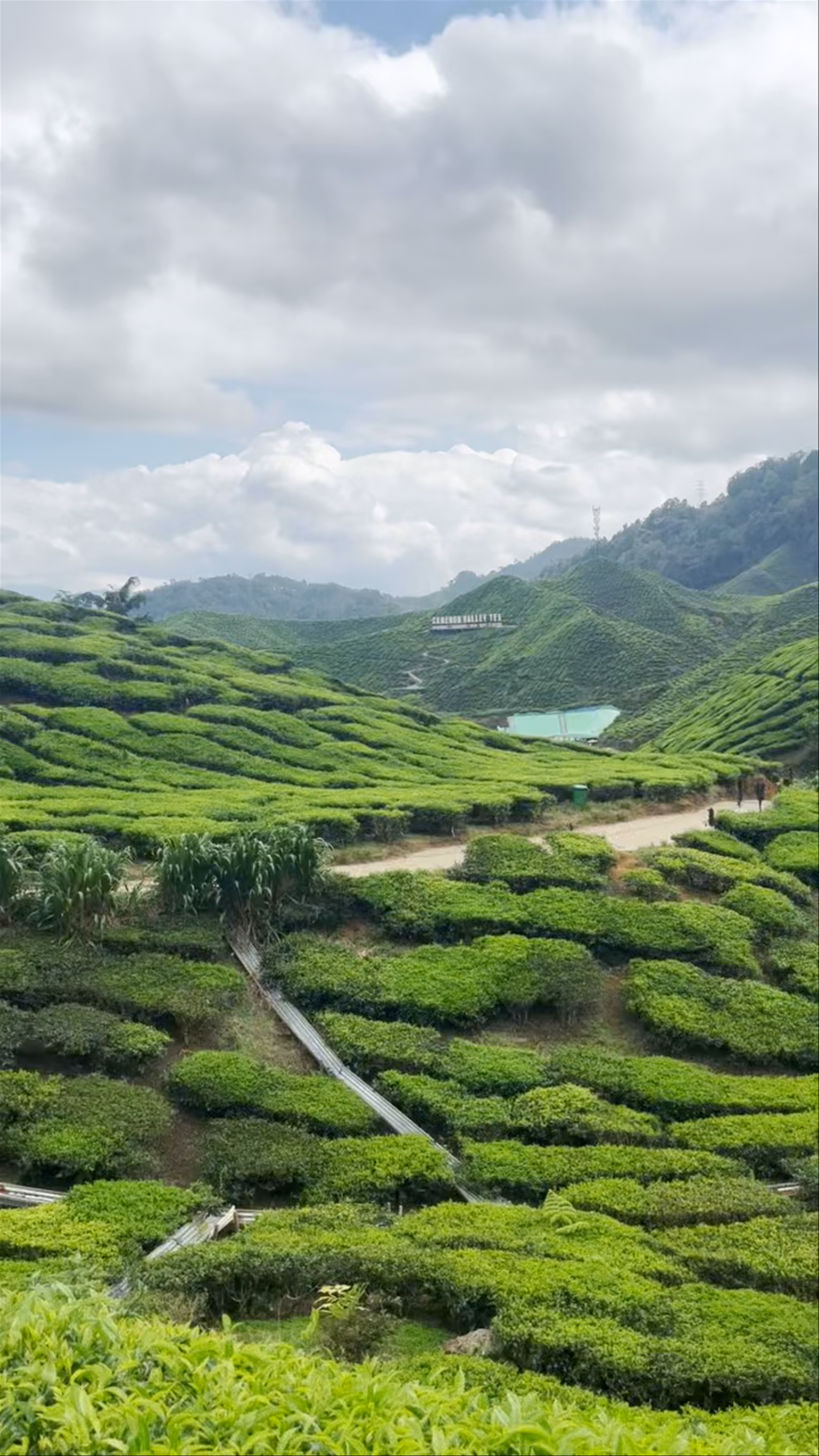 Cameron Valley Tea House 2