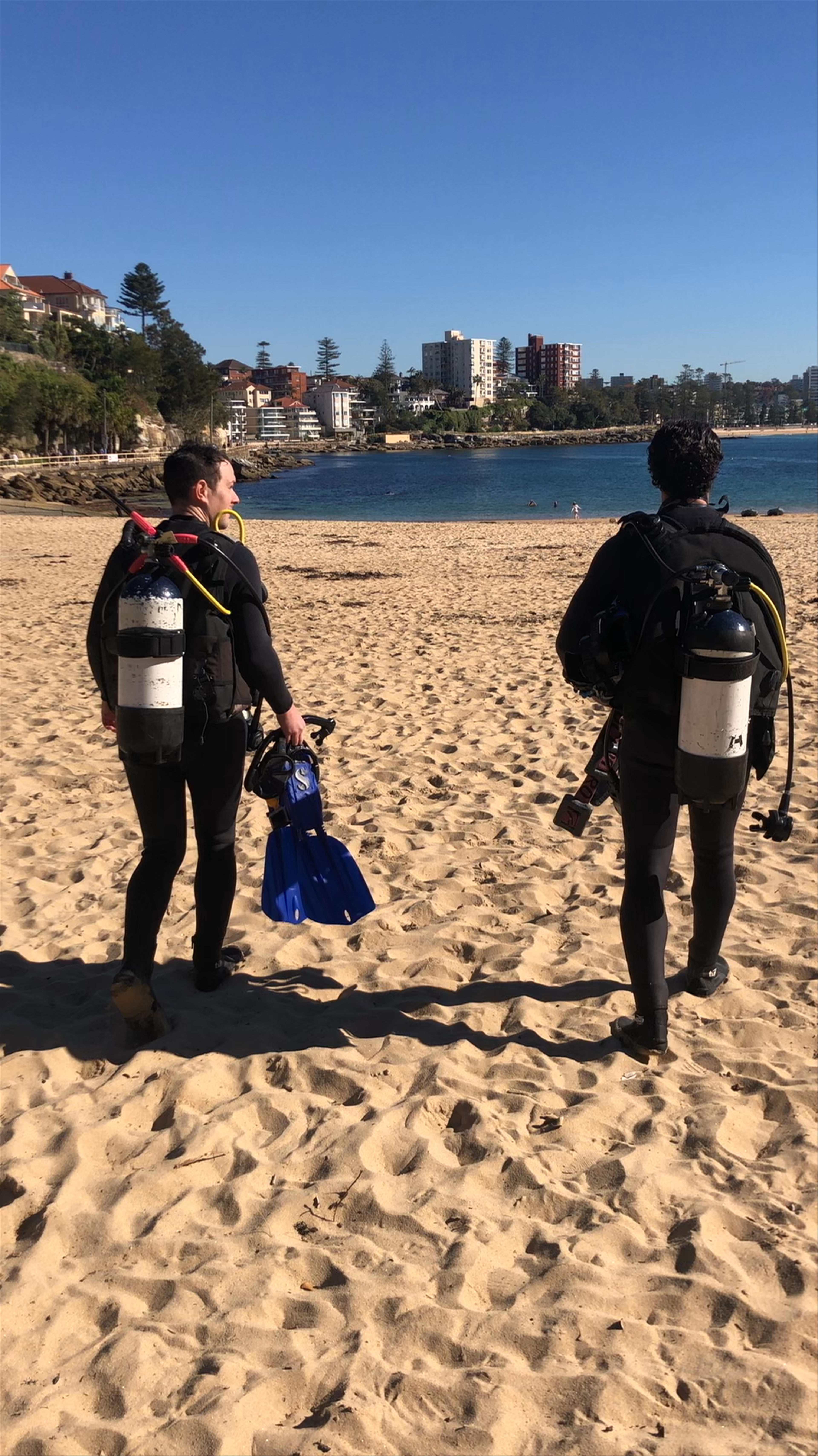 Scuba Diving Adventure at Shelly Beach, Manly NSW