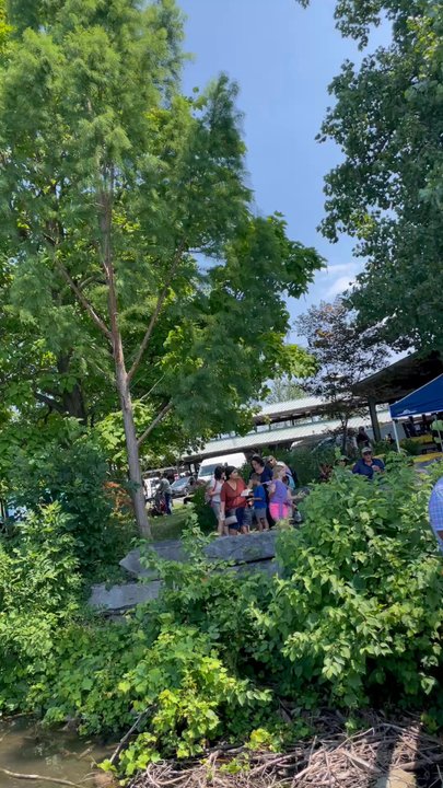 Ithaca Farmers' Market - Farmers Market Near Me - Ithaca, New York