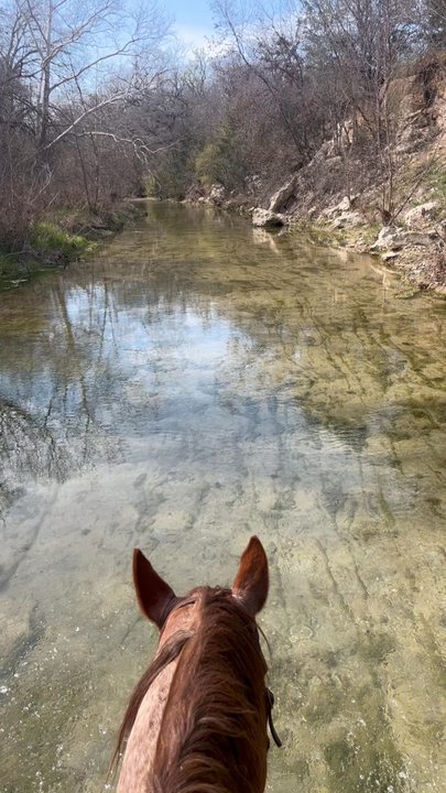 4 Hearts Ranch - Trail riding Bear Creek - Horse Boarding Near Me - Fort Worth, Texas