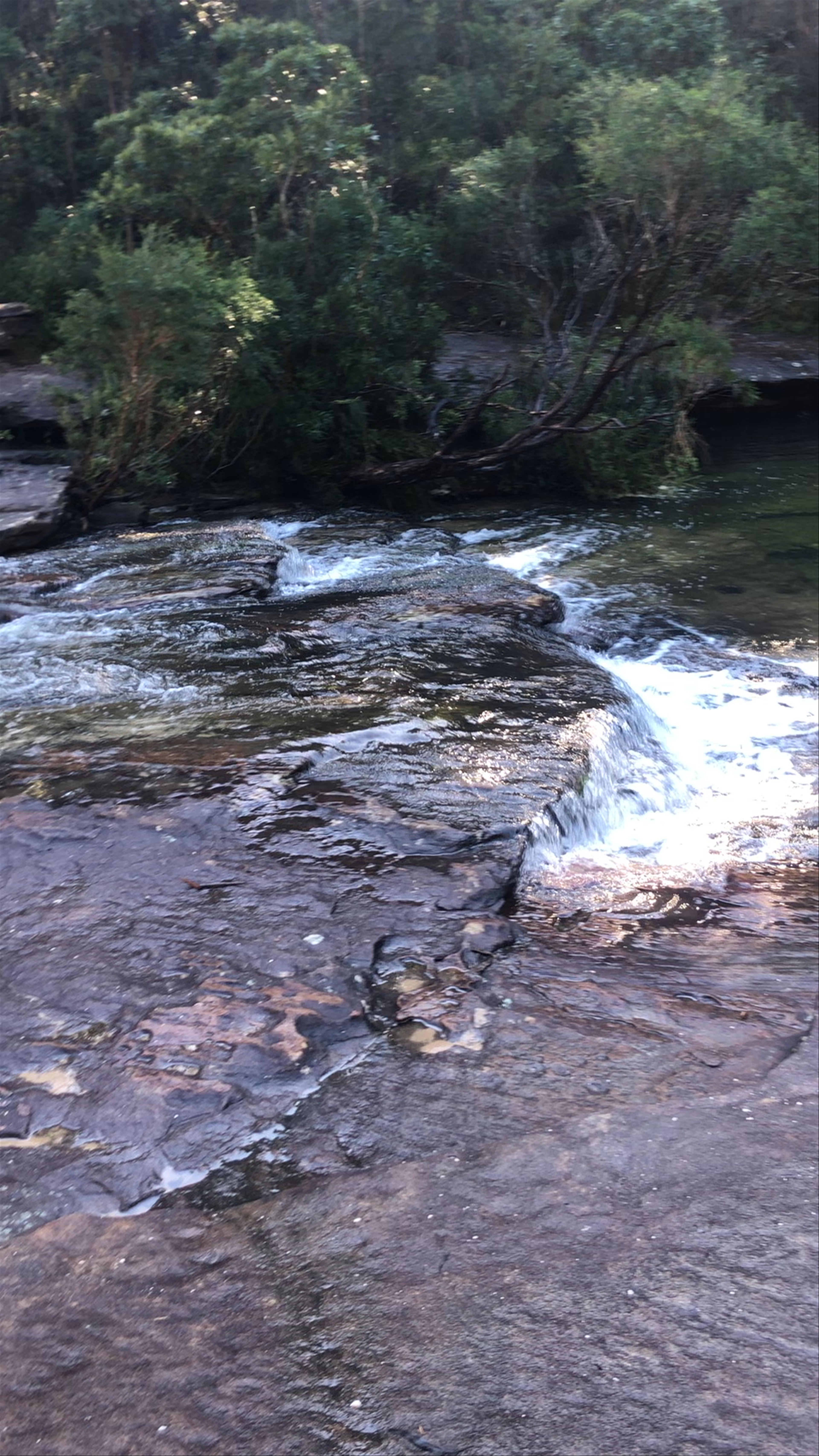 Uloola walking track