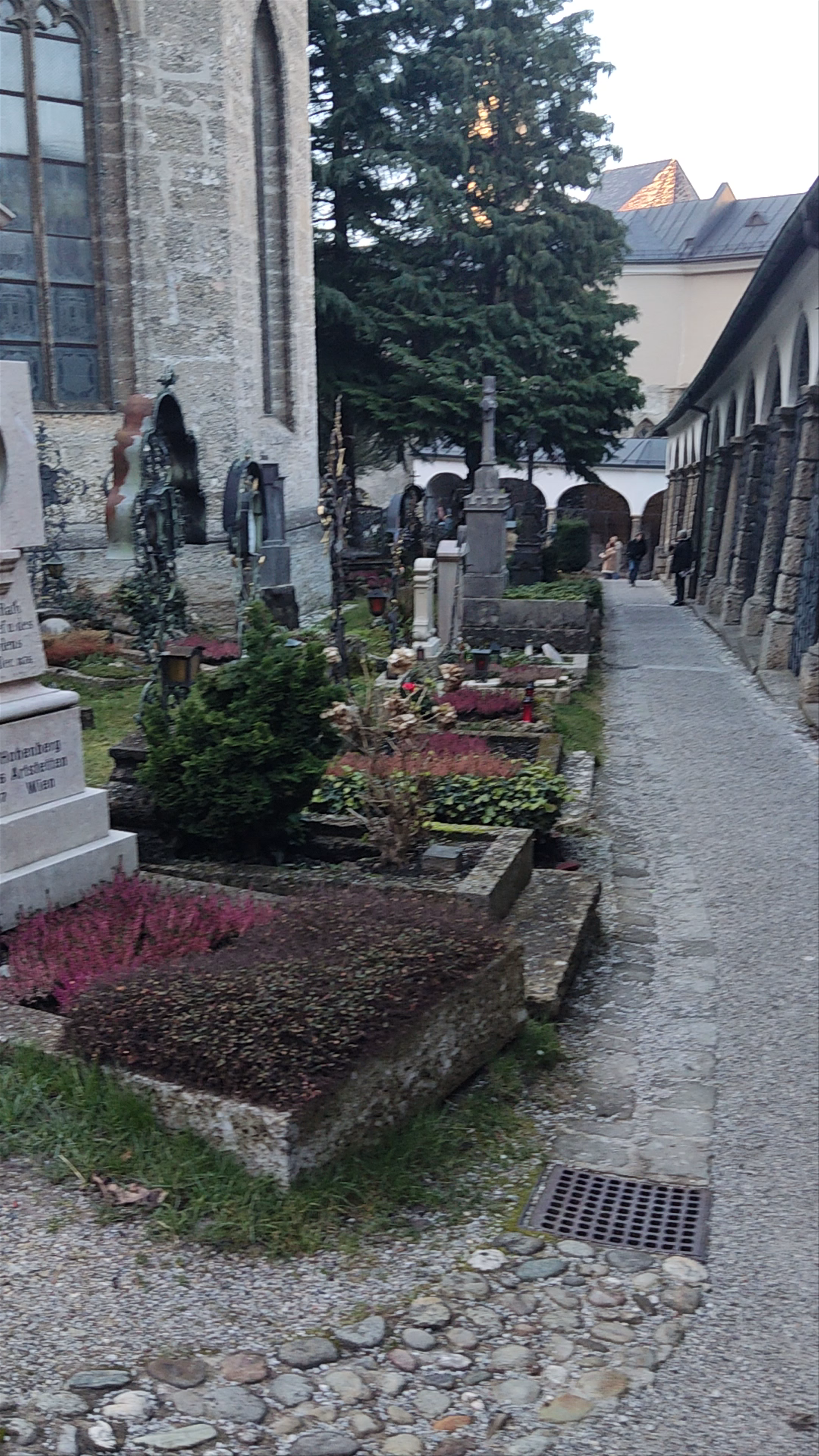 Serene Stroll Through St. Peter's Cemetery in Salzburg