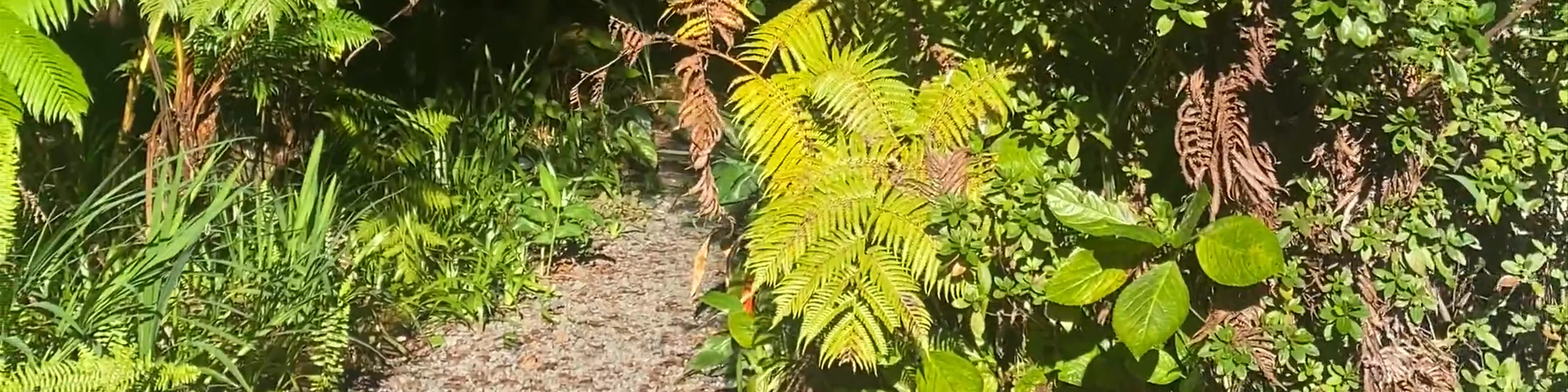 Kīlauea Iki