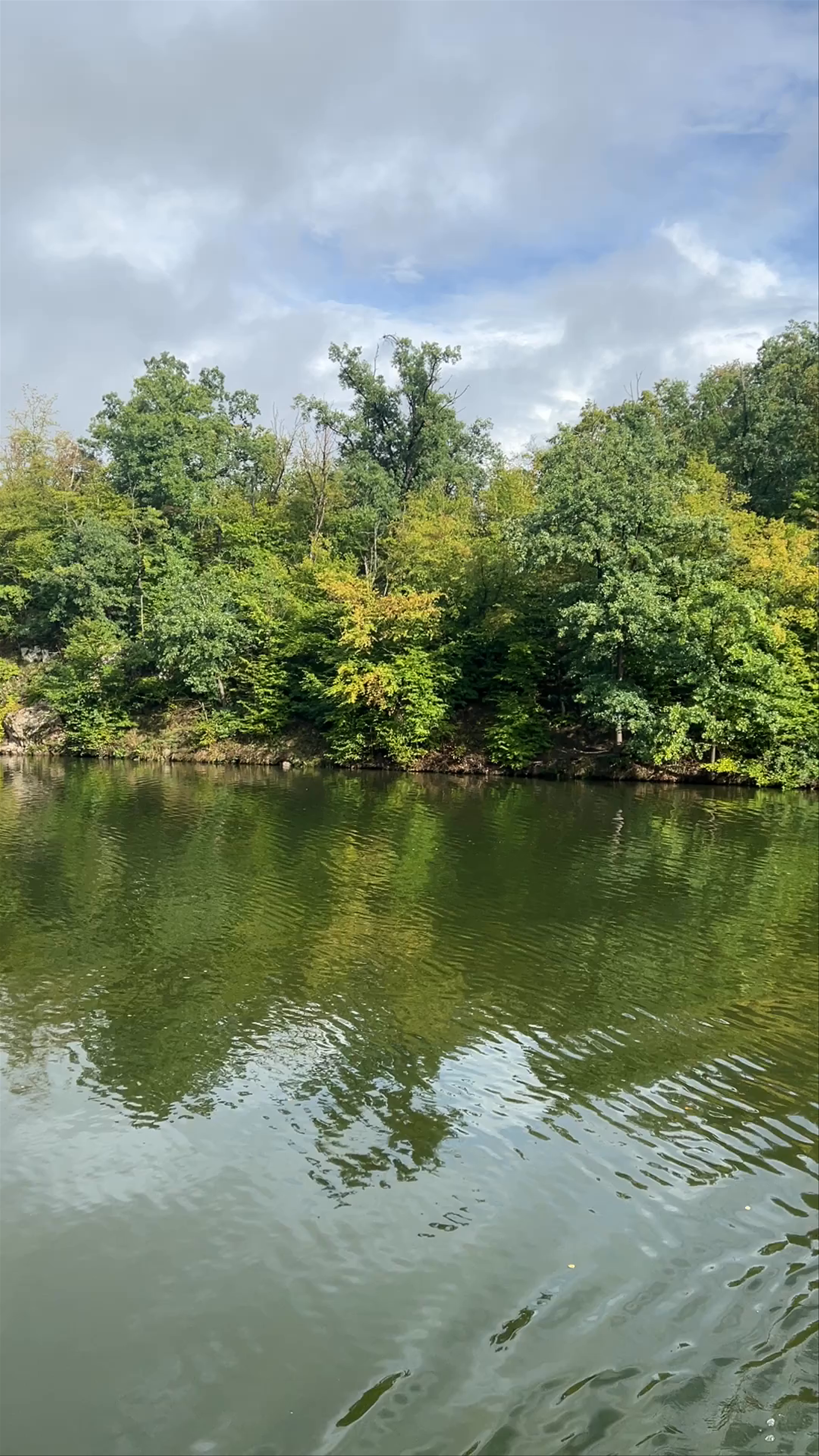 Peaceful Escape at Brno Reservoir in South Moravian Region