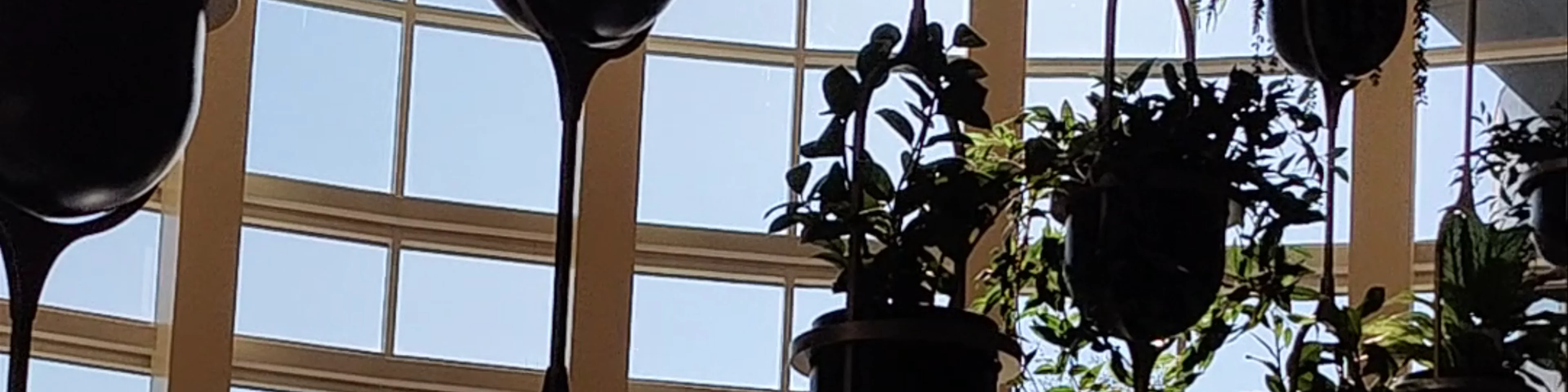 The Westin Buckhead Atlanta