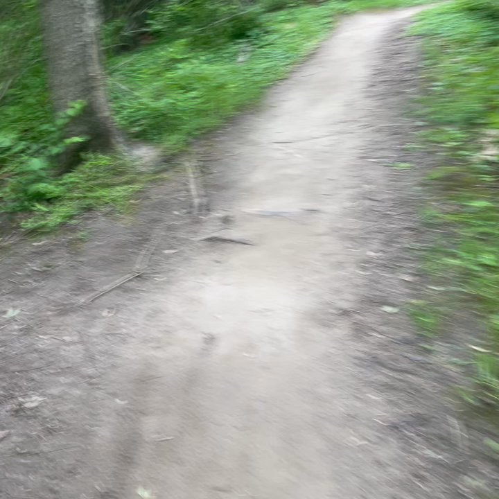 Town Run Trail Park - I felt like a kid running through this path. Absolutely beautiful! - Hiking Near Me - Indianapolis, Indiana