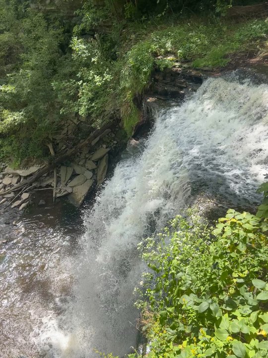 Great Falls - Parks Near Me