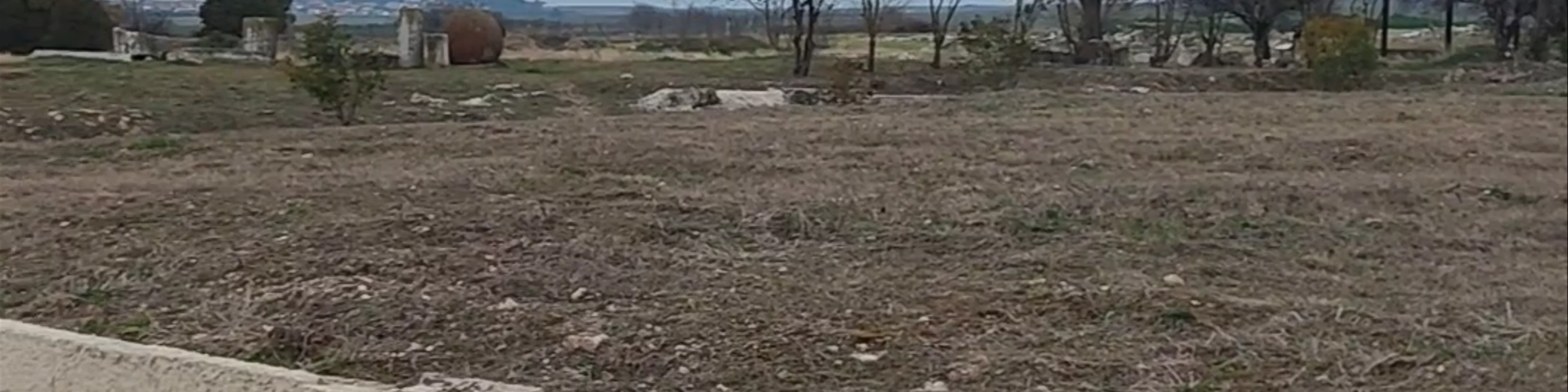 Archeologikos Choros