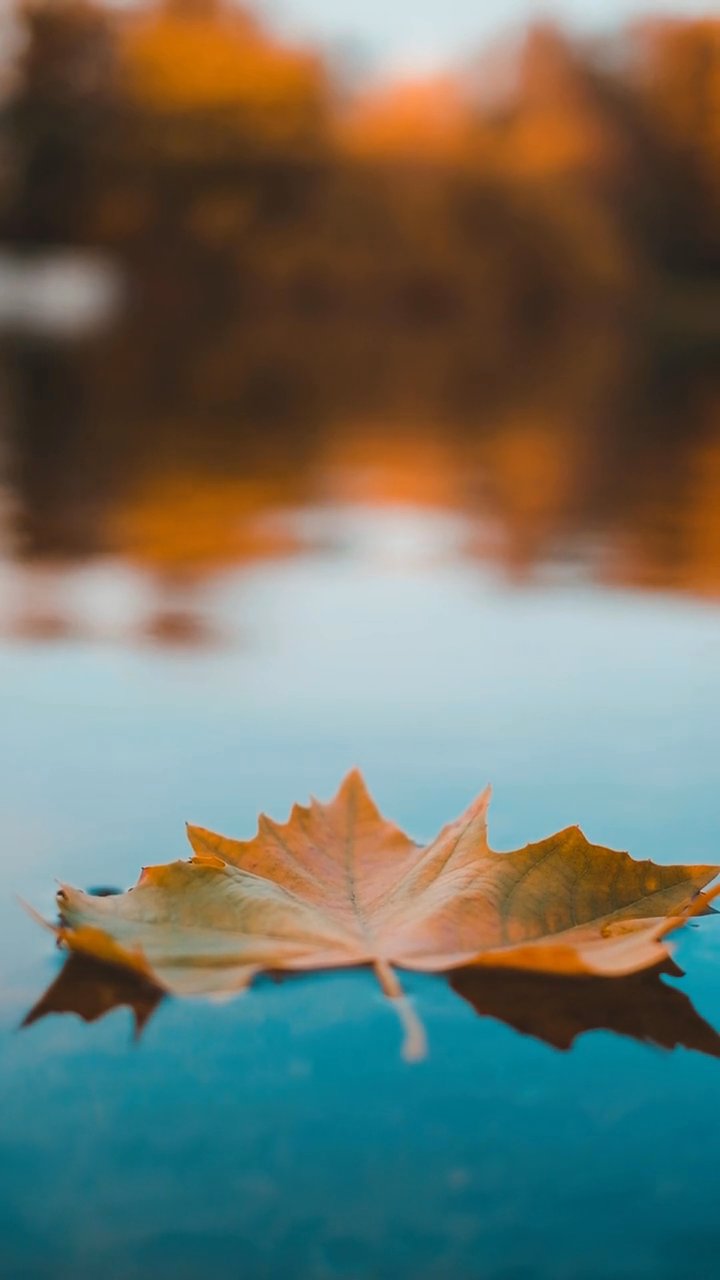 breathe this in
🎥 Ahmet Bozkus · Pexels
#nature #naturelovers #earth #relax #scenery