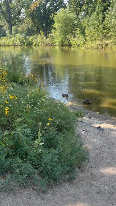 Normandy Oaks Park - Parks Near Me - Royal Oak, Michigan