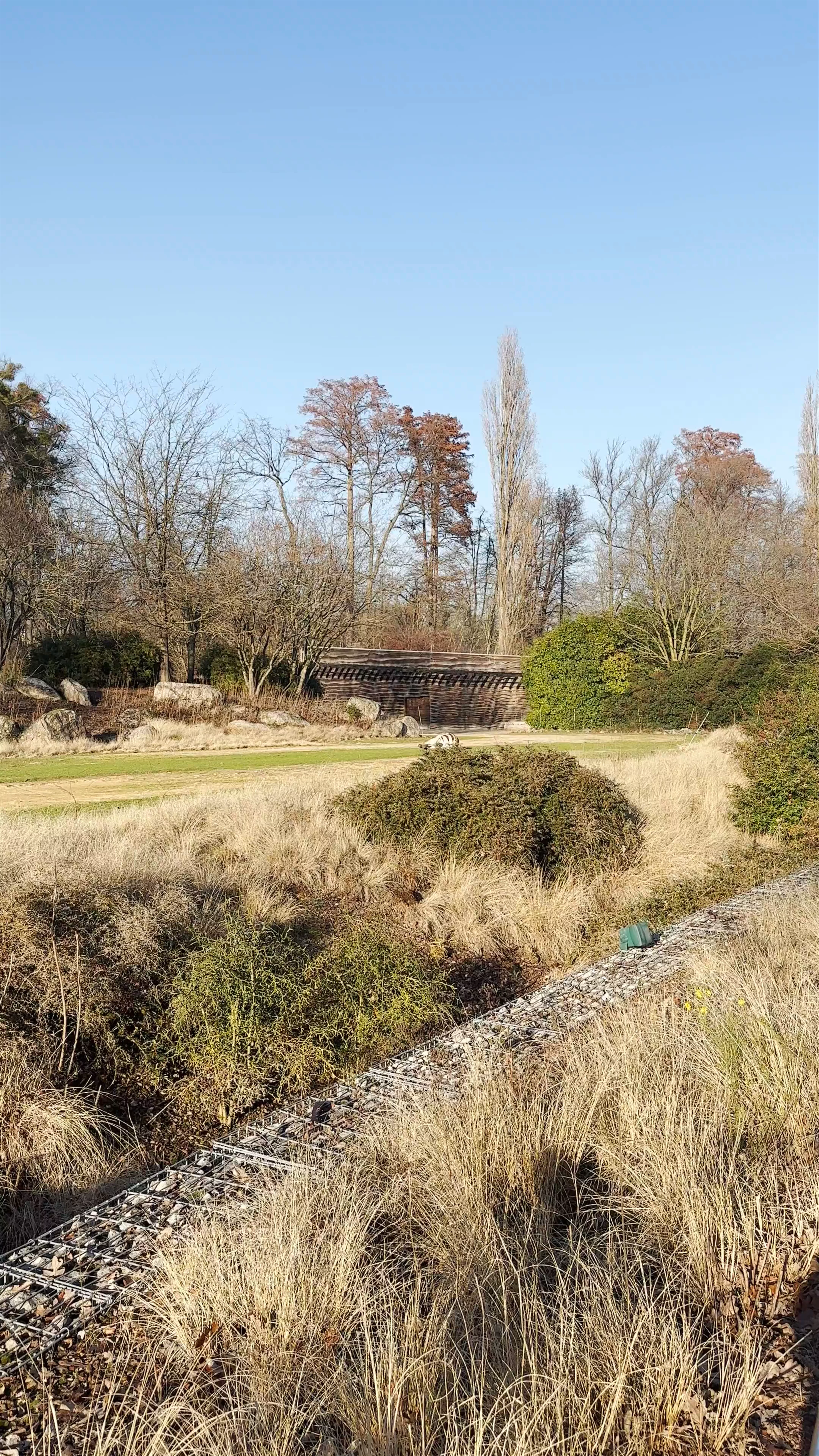 Zoo de Lyon, Parc de la Tête d'Or, Allée de l'Orangerie