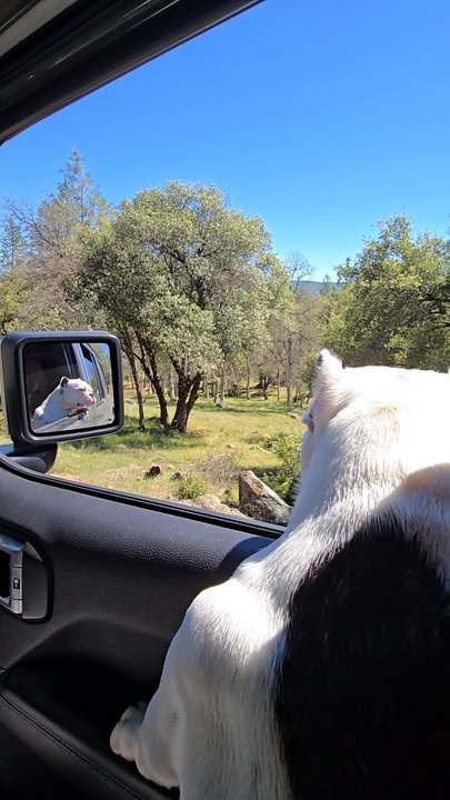 Indigeny Reserve - Driving into the Cidery! - Cideries Near Me - Sonora, California
