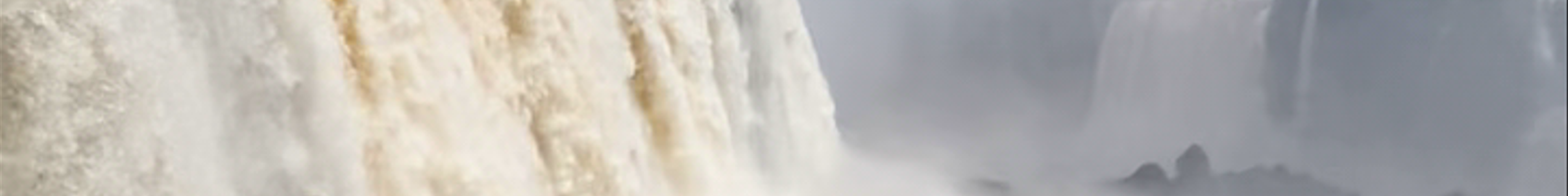 Tours & experiences in Foz do Iguaçu