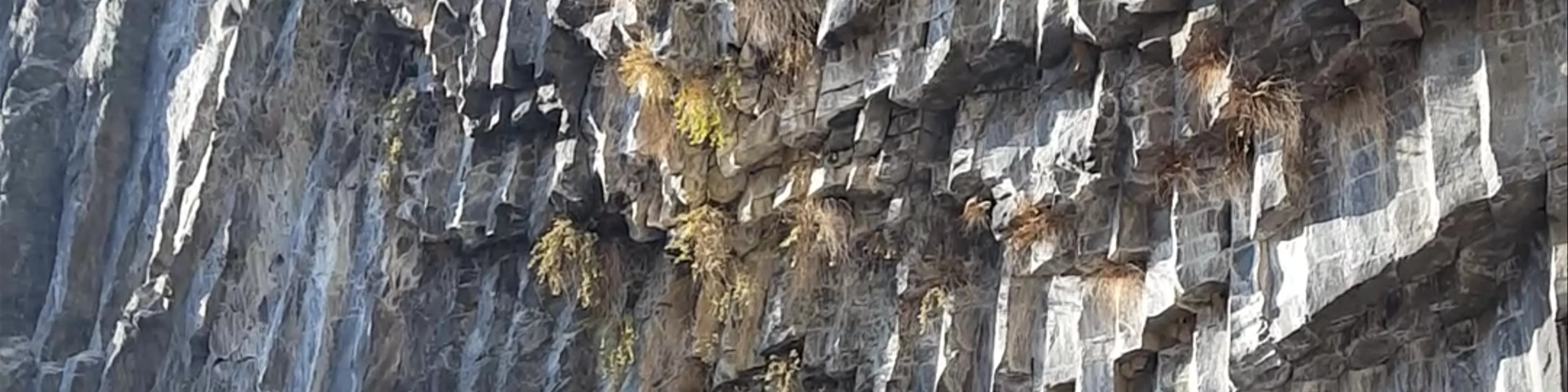 Symphony of Stones