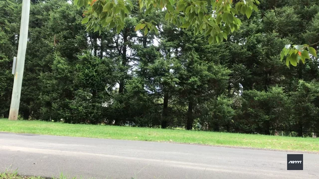 riu set: Fakie double