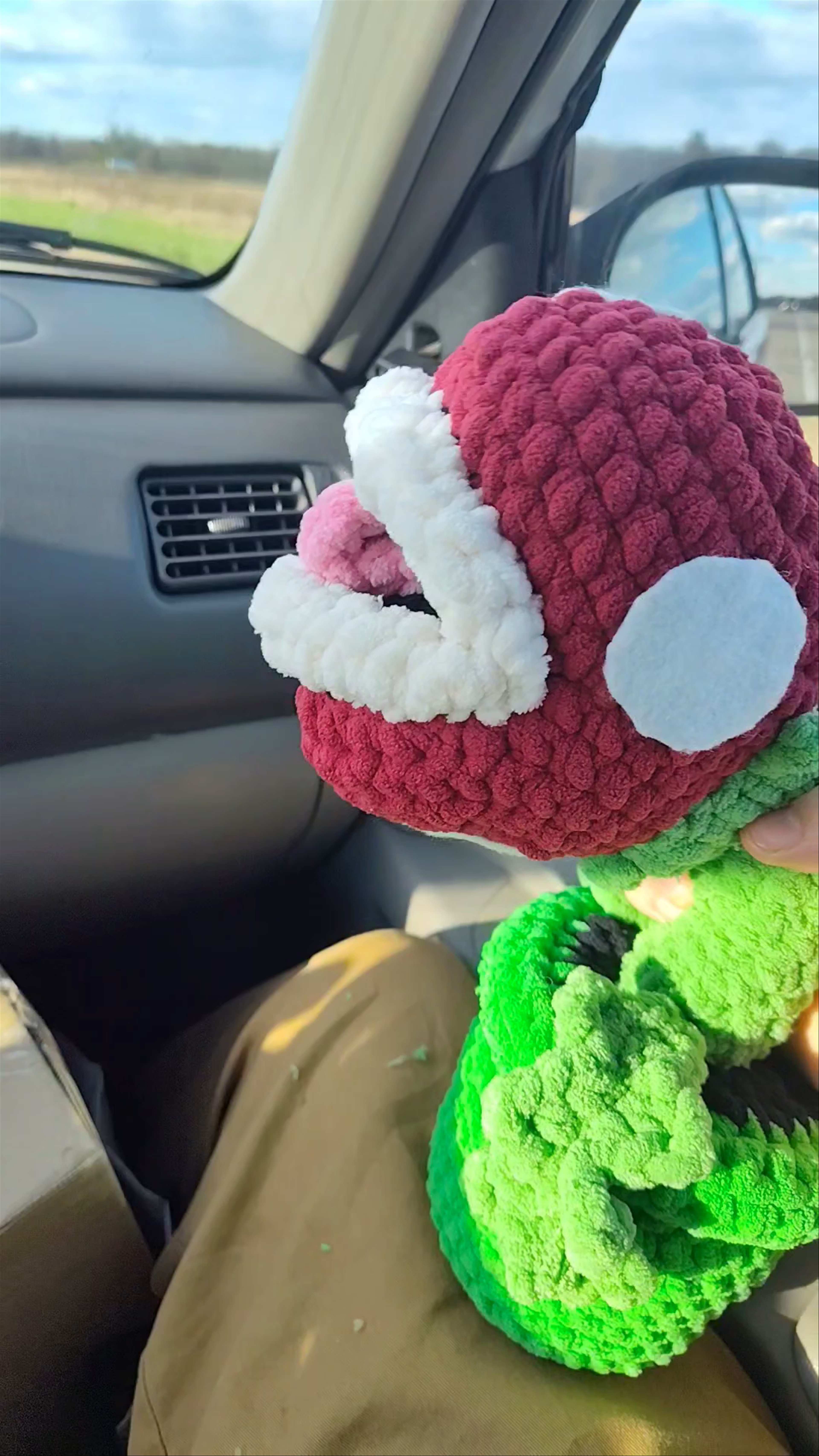 Preview pic of Piranha plant