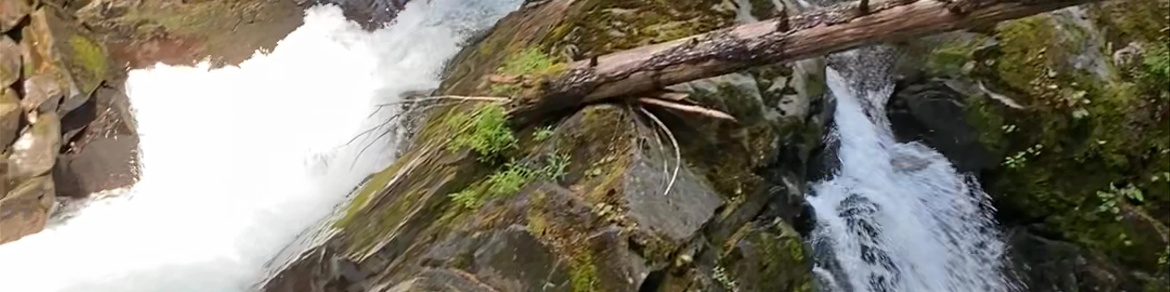 Port Angeles Trail
