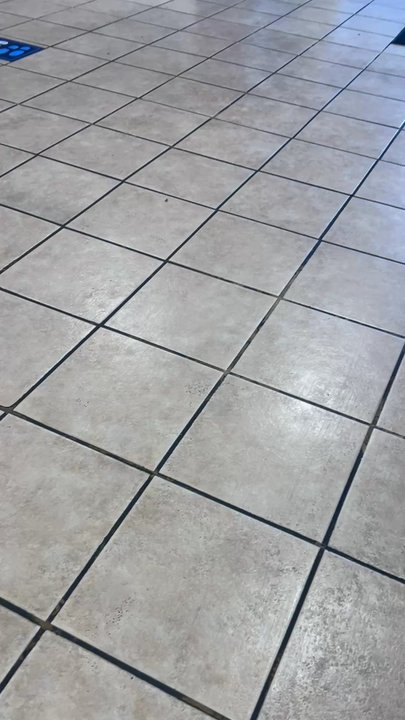 Dat Chicken and Seafood - Roaches in locations - Comfort Food Near Me - Duncanville, Texas
