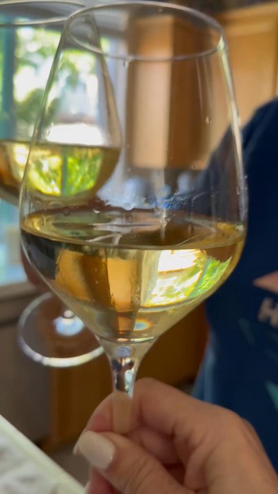 Gloria Ferrer Winery - Wineries Near Me - Sonoma, California