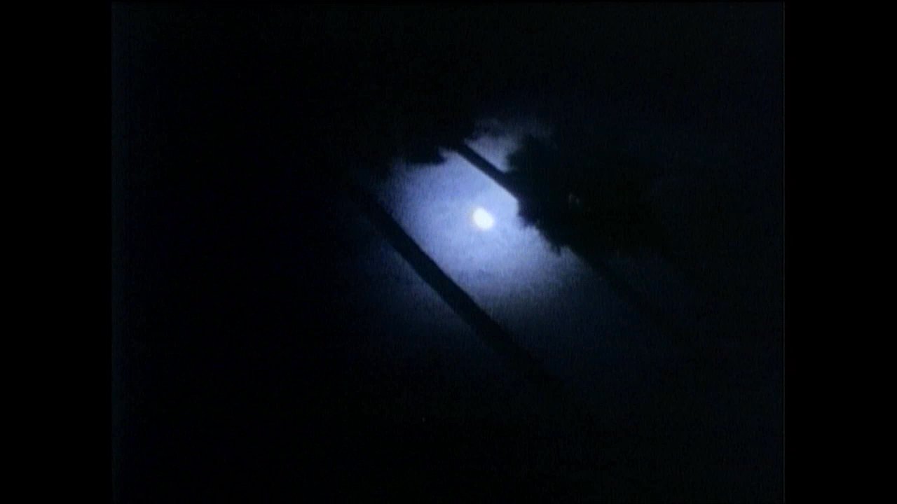 The moon illuminates silhouette-draped palm trees in a serene, nocturnal environment before transitioning to a street-level view of a quiet, lit suburban road.