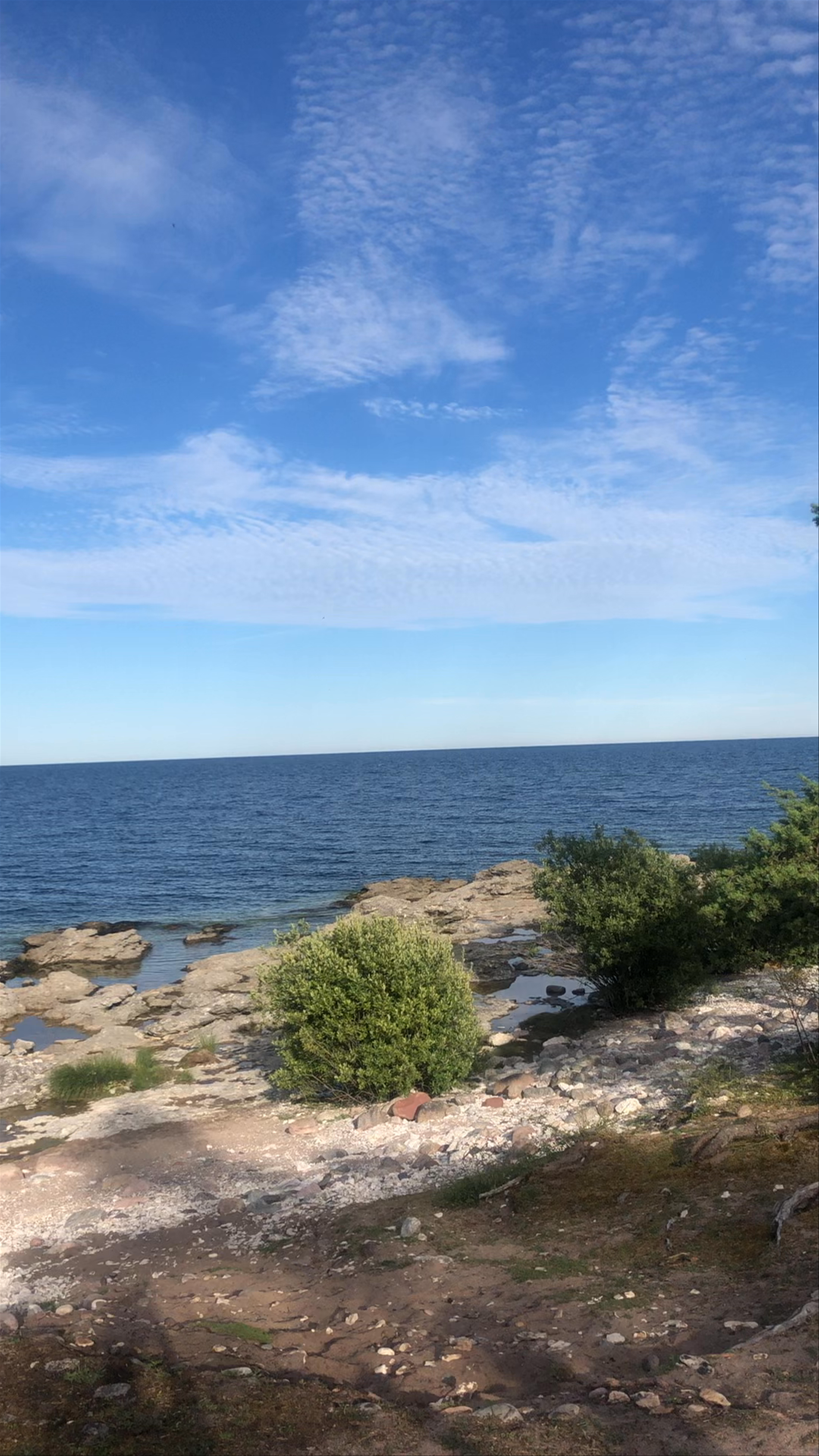 Folhammar Raukområde