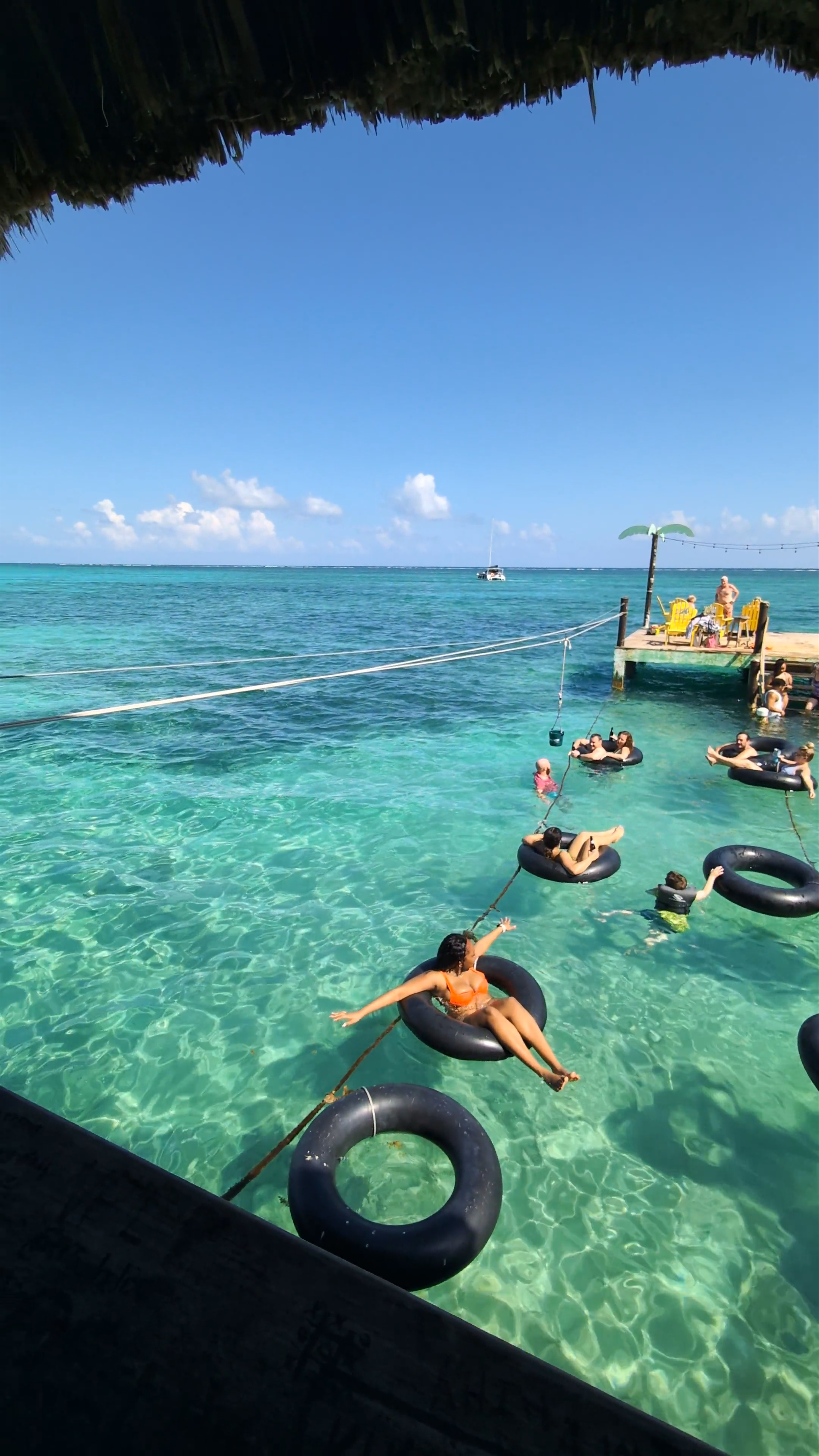 Palapa Bar and Grill