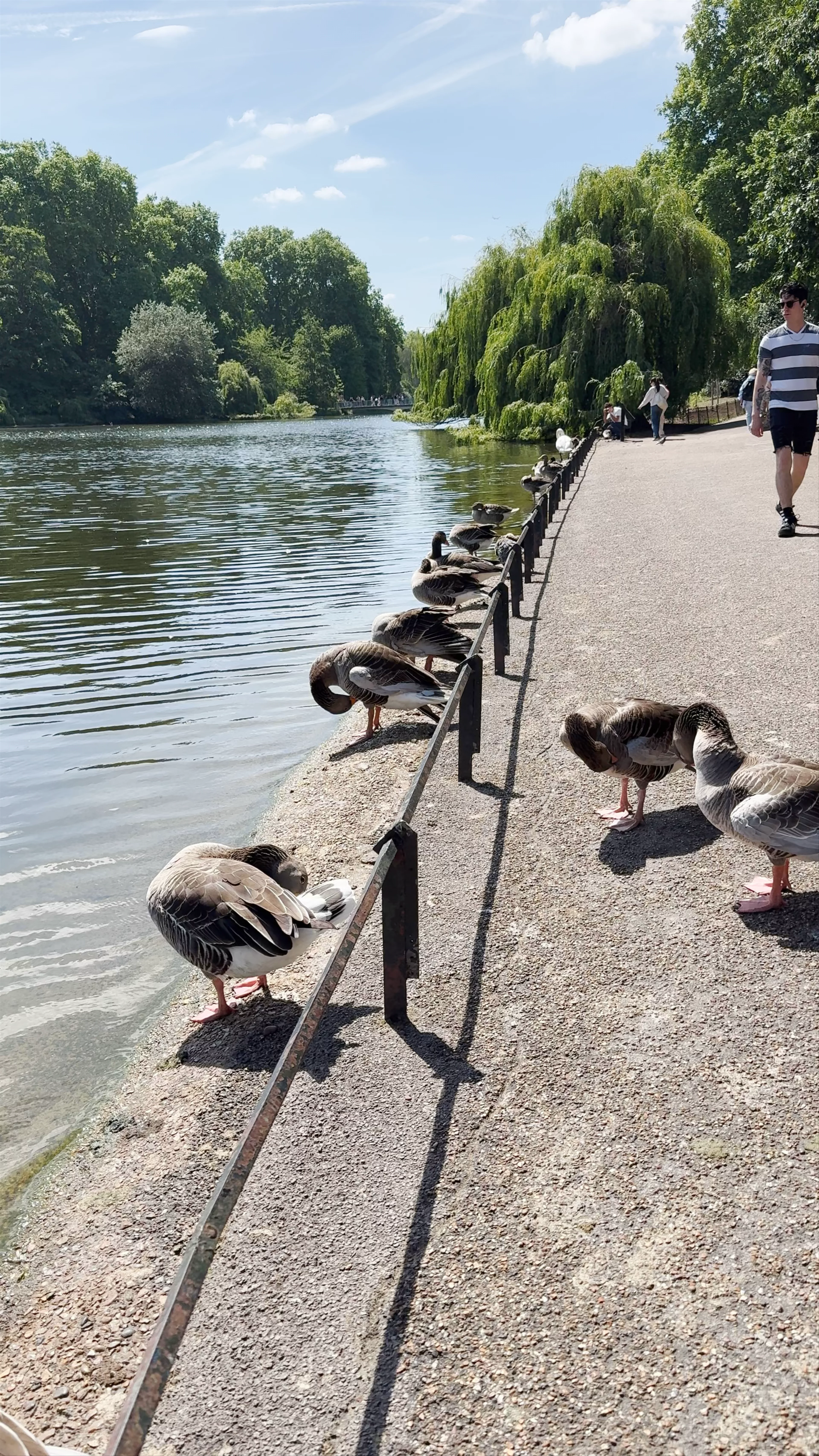 The Diana Princess Of Wales Memorial Walk