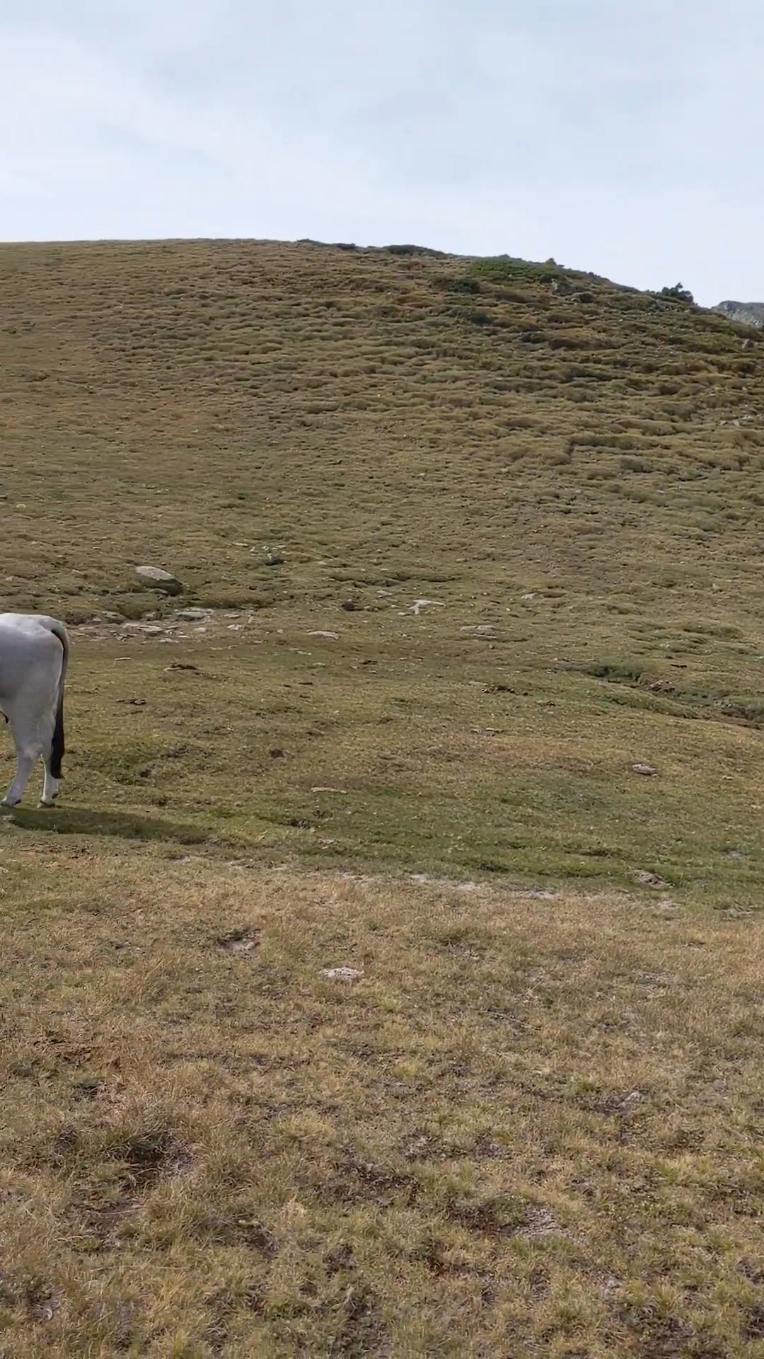 Overnight at Refuge de Bastan photo 17