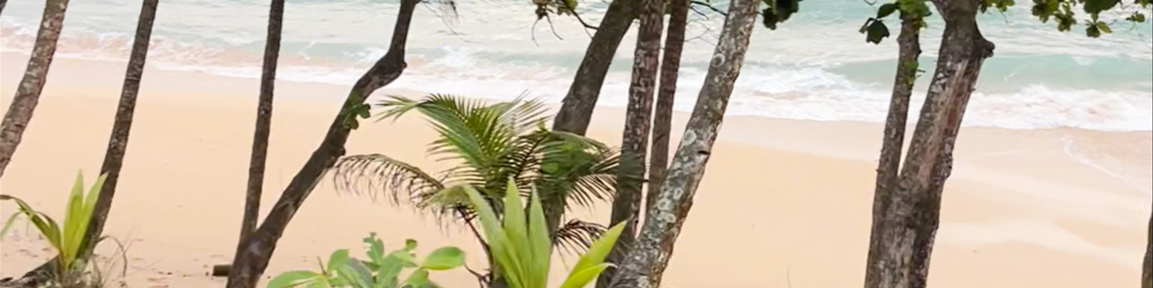 Domus Praia Jalé