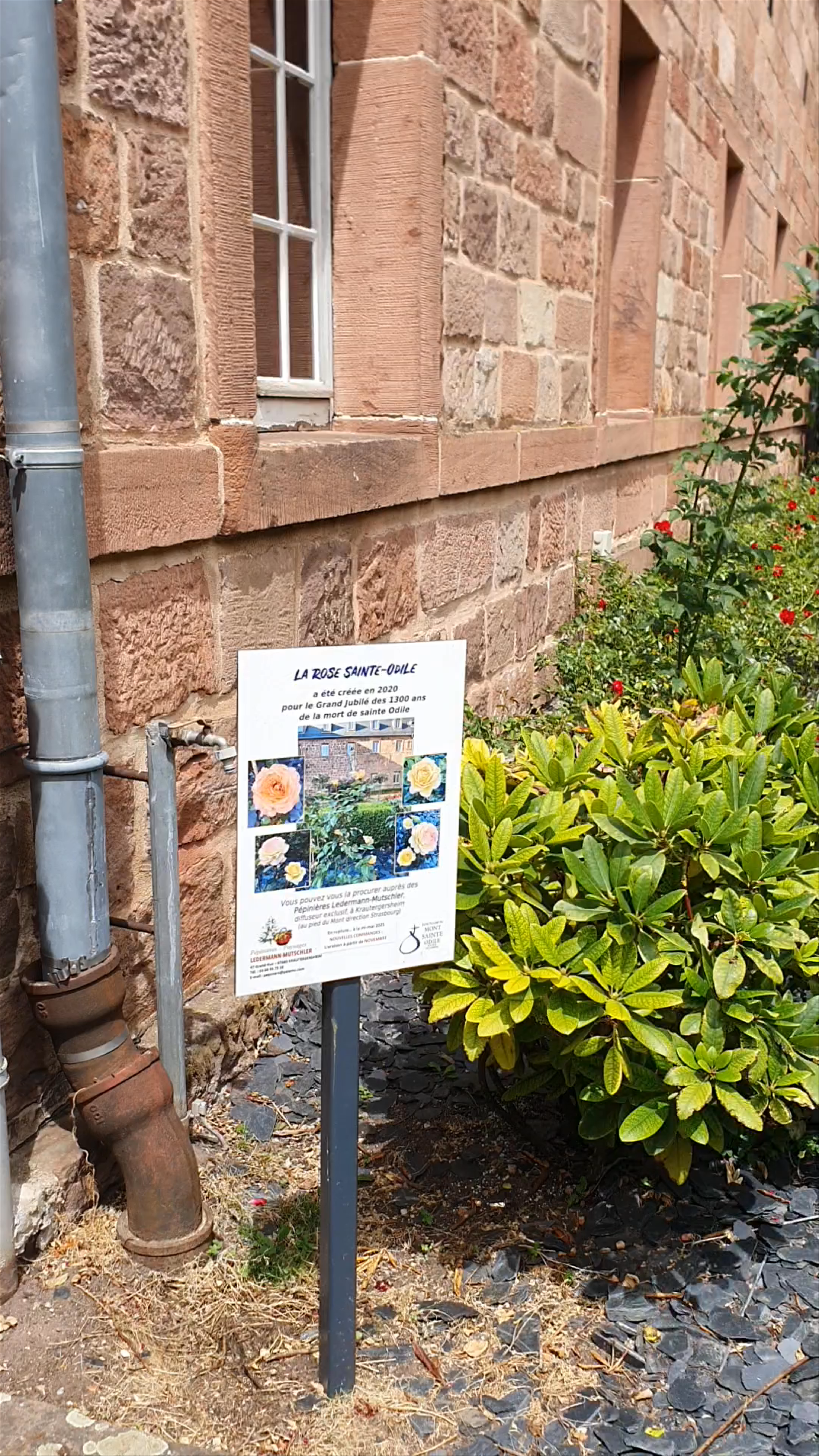 Mont Sainte-Odile Alsace