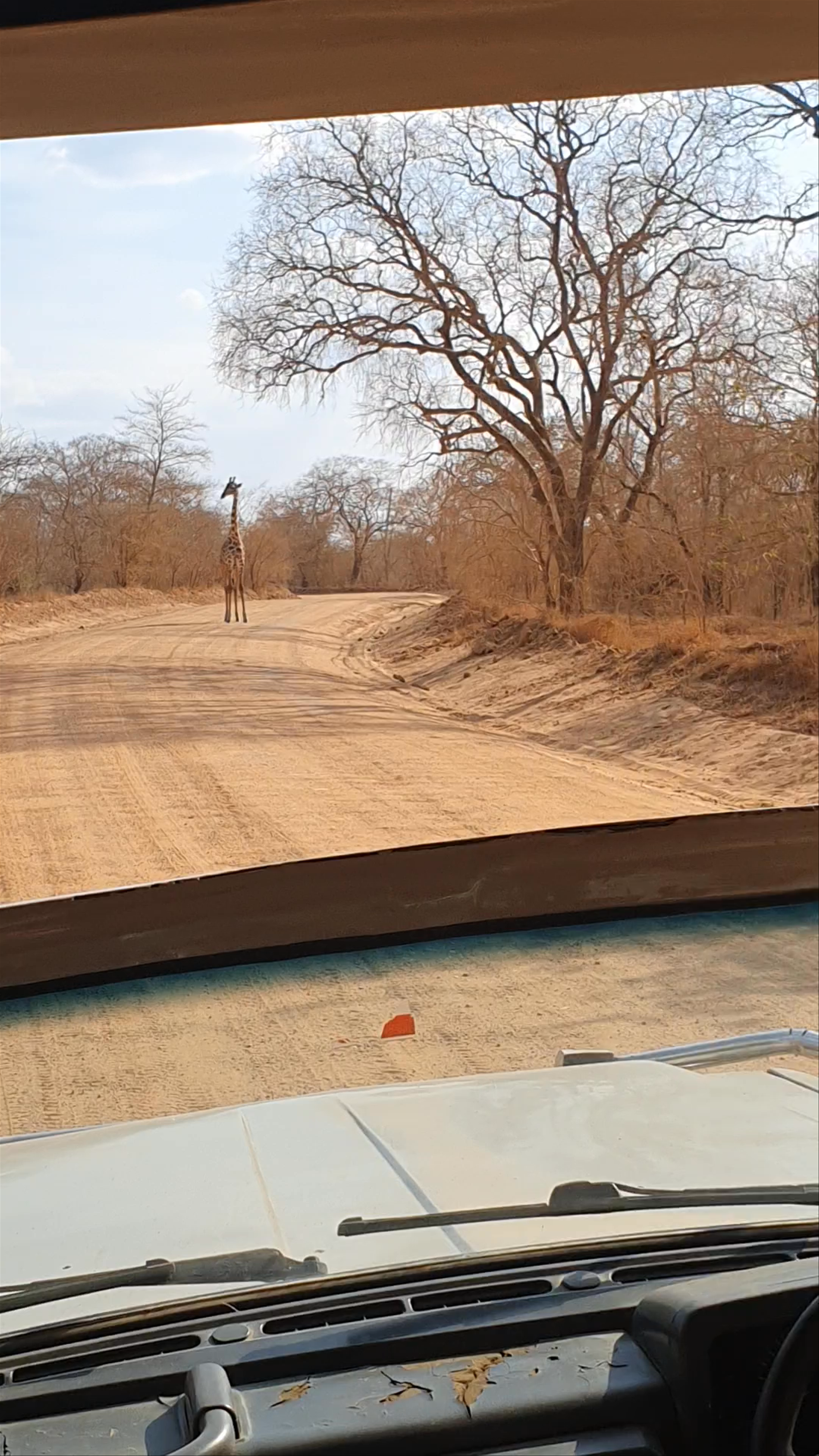 Nyerere National Park