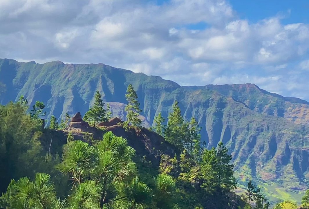 Kuaokala Trail - Hiking Near Me - Waianae, Hawaii